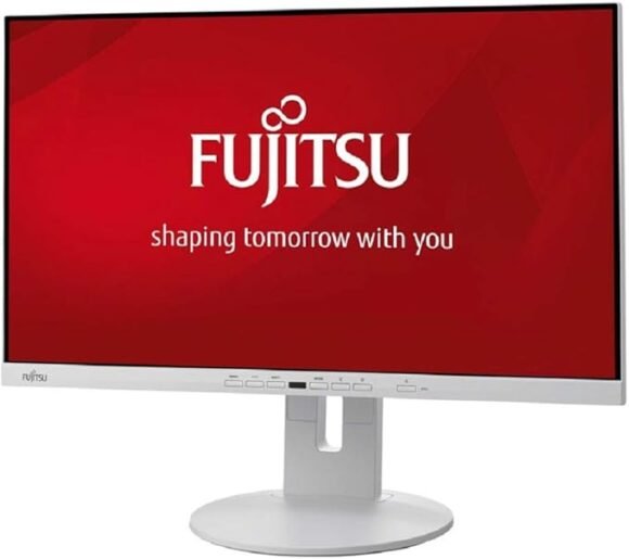 Fujitsu DISPLAY P24-9 TE EU 23.8inch-used